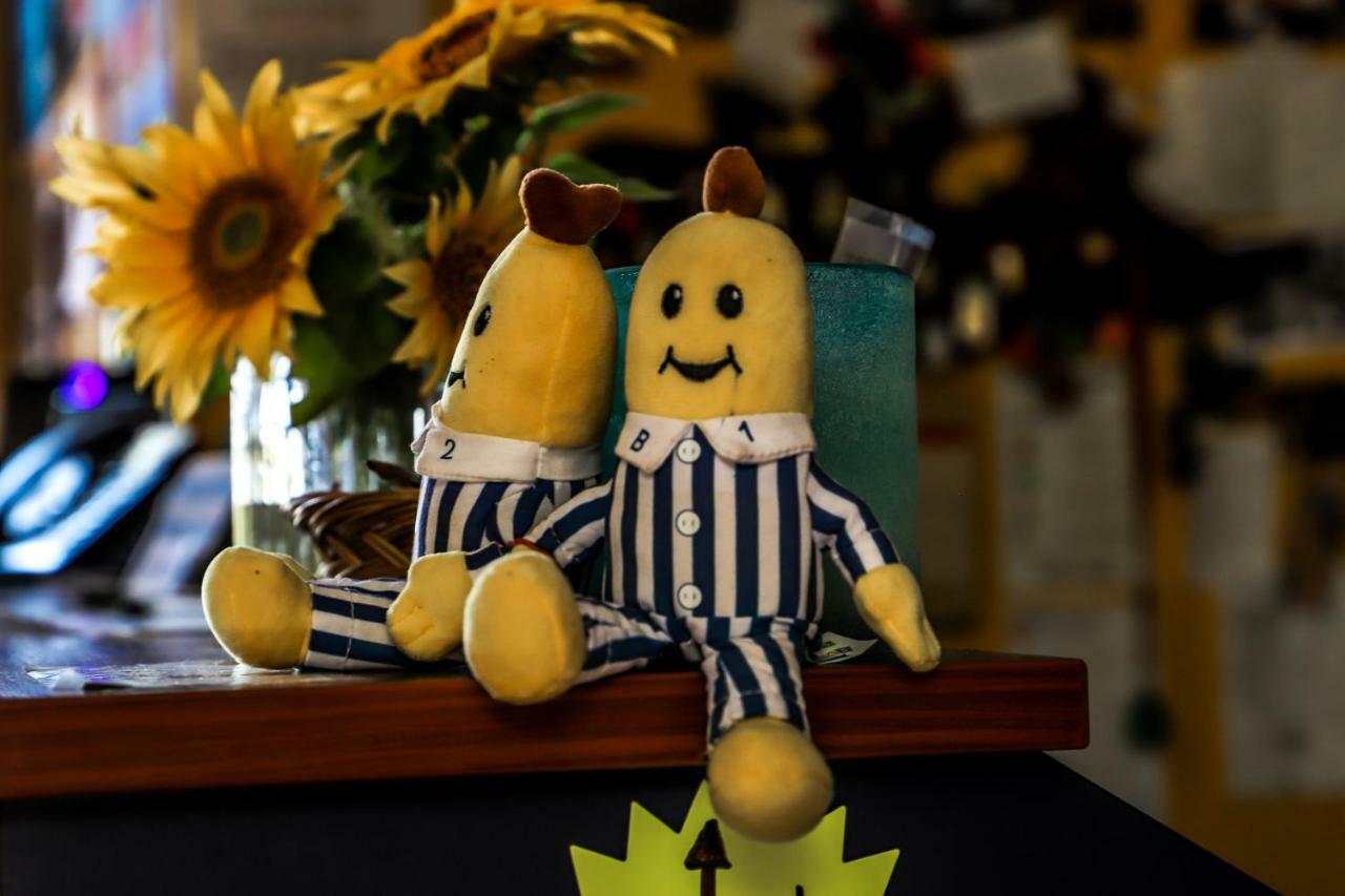 Cool Bananas Backpackers Hostel Agnes Water Bagian luar foto