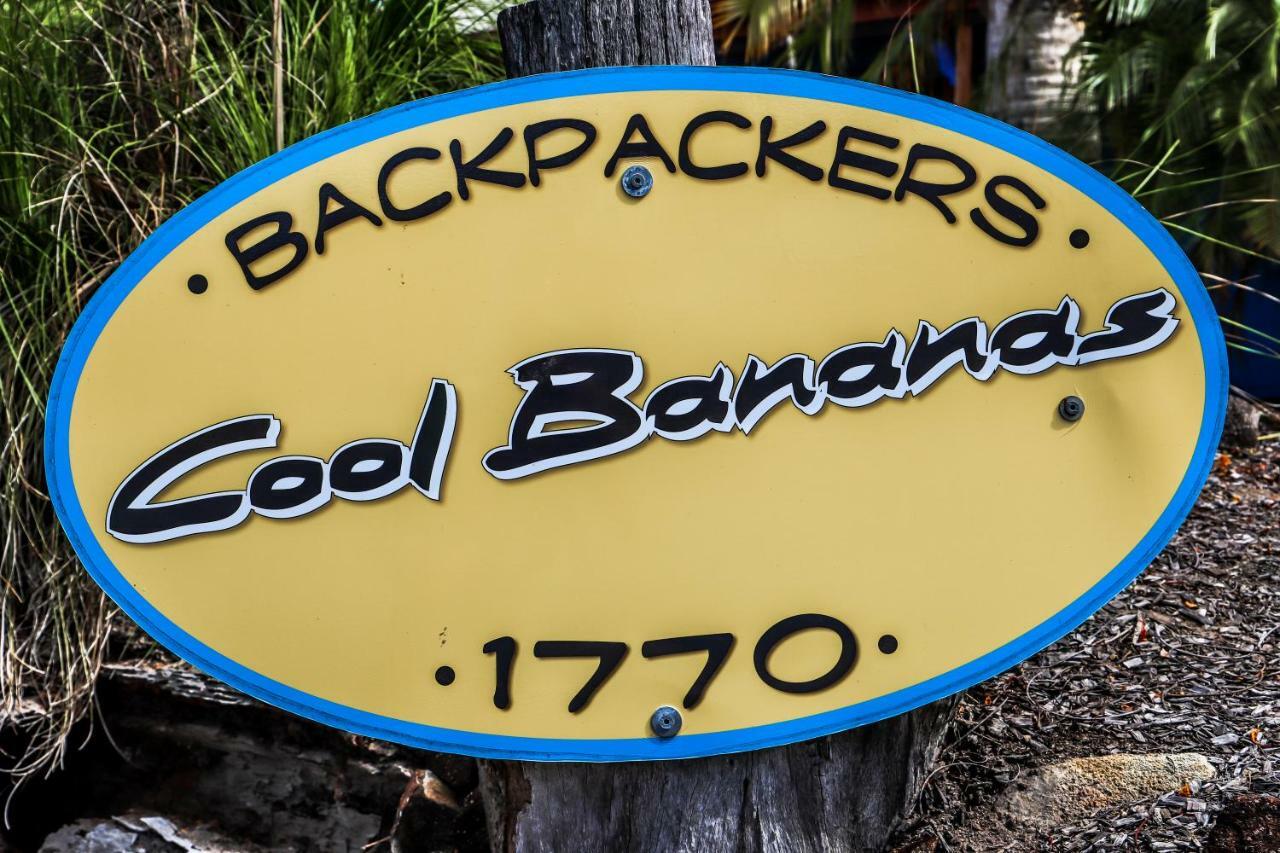 Cool Bananas Backpackers Hostel Agnes Water Bagian luar foto