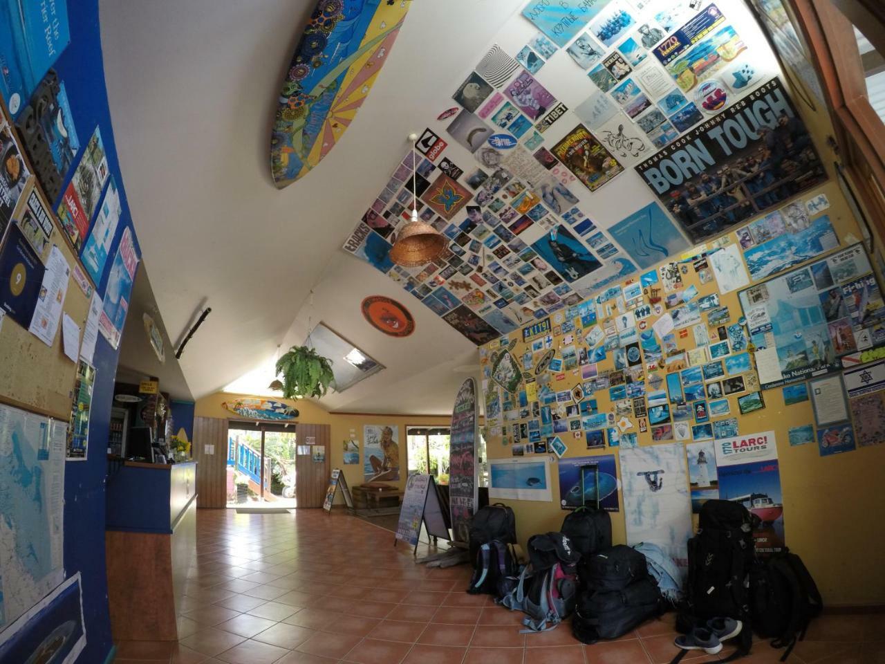 Cool Bananas Backpackers Hostel Agnes Water Bagian luar foto