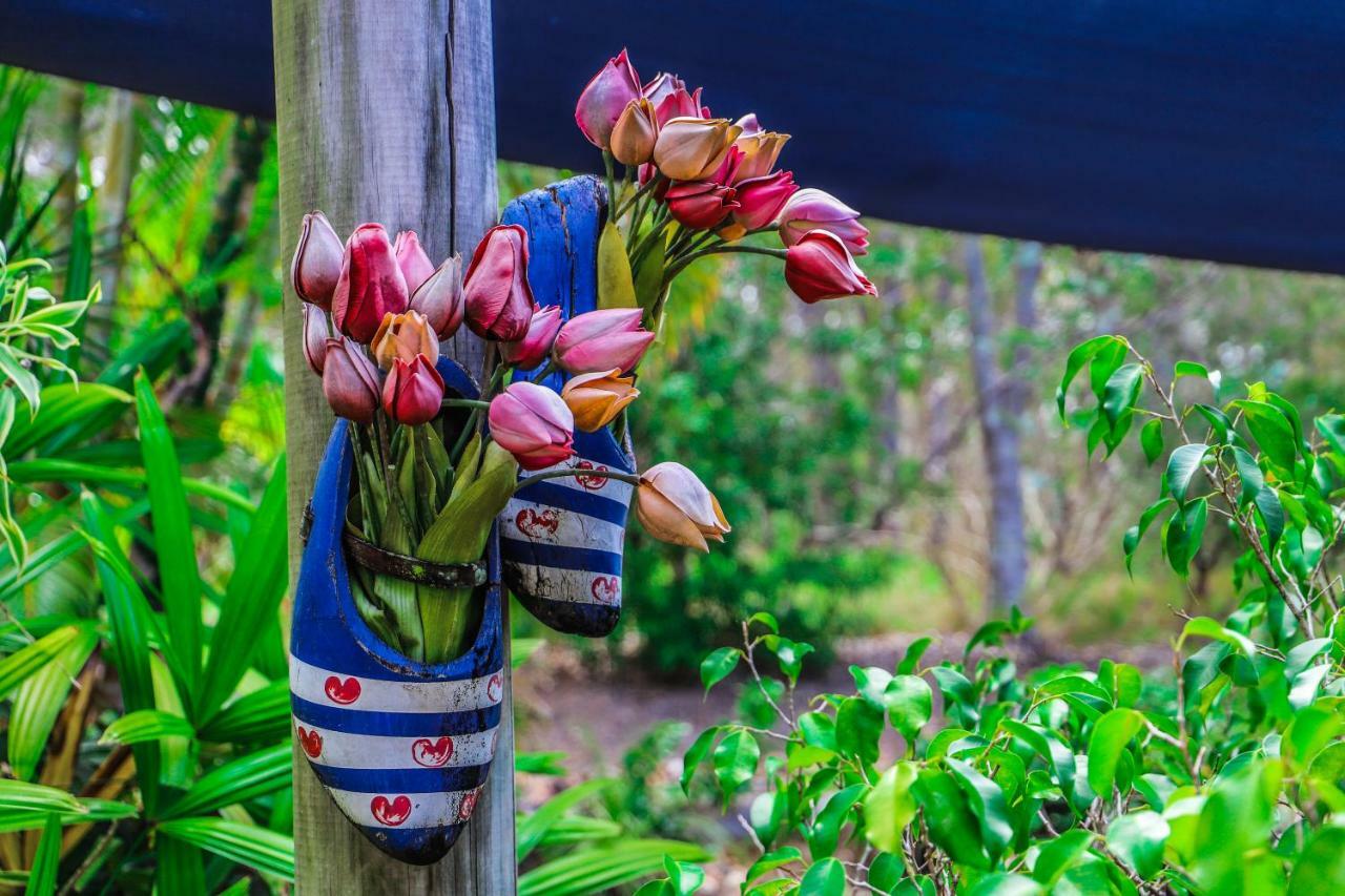 Cool Bananas Backpackers Hostel Agnes Water Bagian luar foto