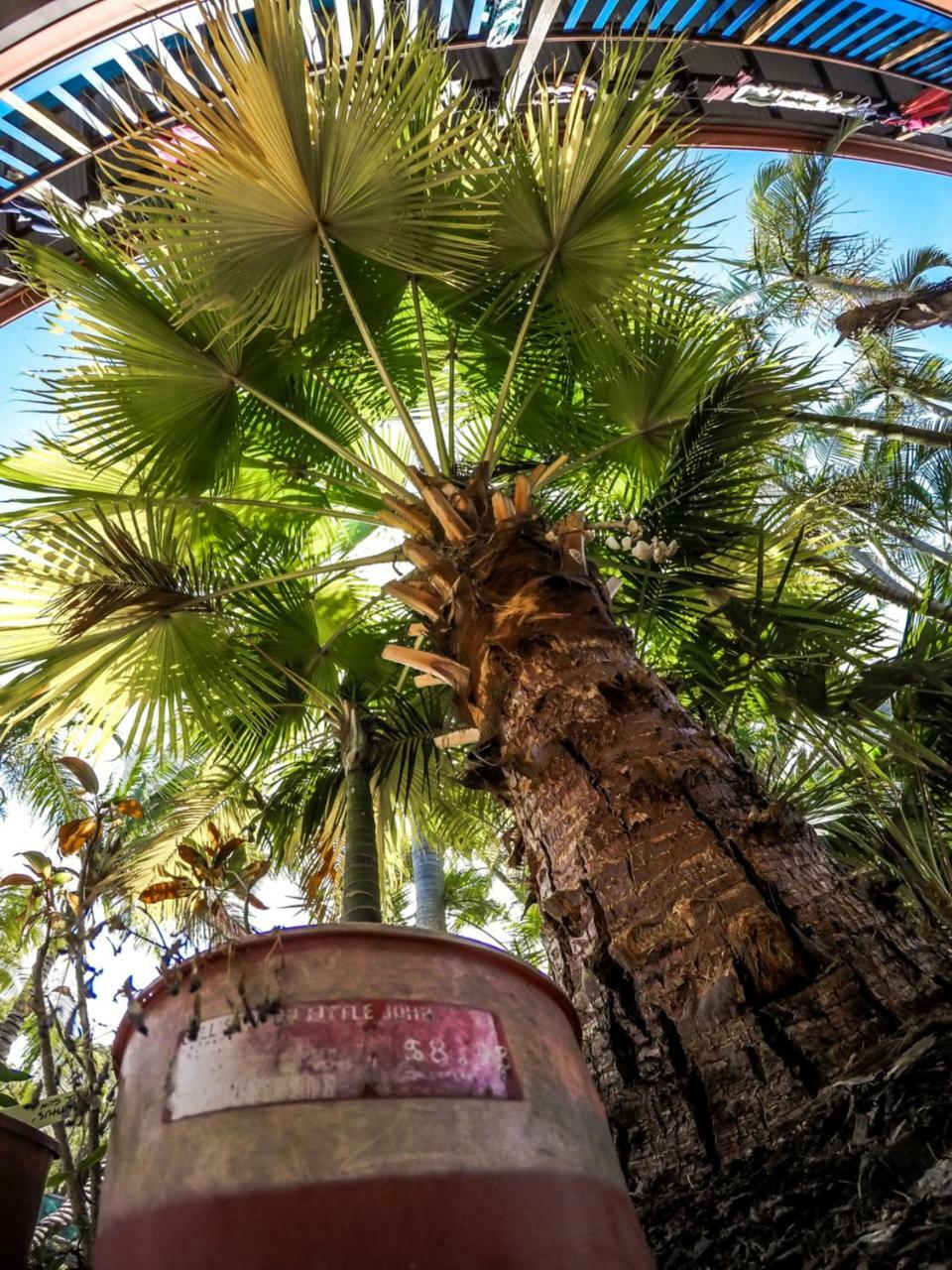 Cool Bananas Backpackers Hostel Agnes Water Bagian luar foto